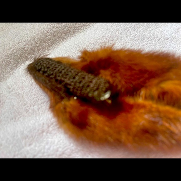 Mink Shawl gorgeous FUR purchased from the people who help keep the foxes alive - Picture 10 of 10